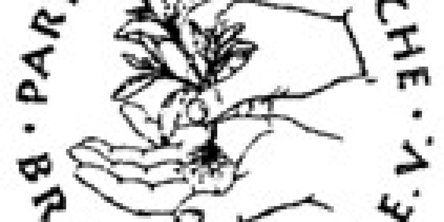 Logo Brasilienhilfe, © ©Brasilienhilfe Logo Brasilienhilfe, © ©Brasilienhilfe