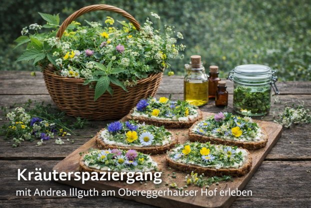 Kräuterspaziergang_Andrea_Illguth_Obereggerhauser Hof. Kräuterspaziergang_Andrea_Illguth_Obereggerhauser Hof.