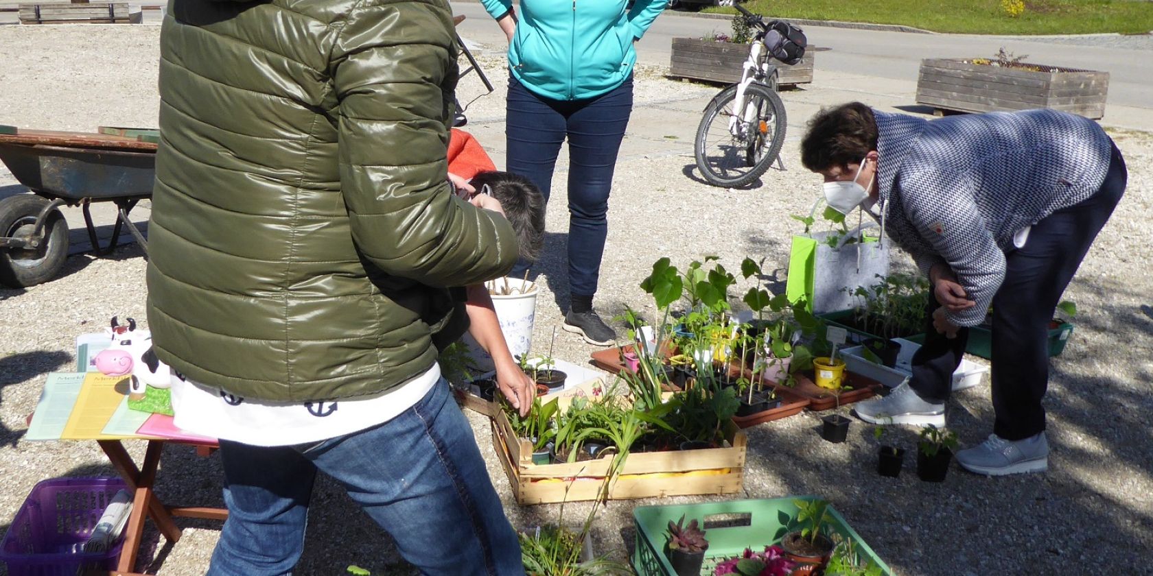 Pflanzentausch Fr&uuml;hjahr 2021 Copyright Gartenbauverein Grbst (1), &copy; GartenbauvereinGrabenst&auml;tt