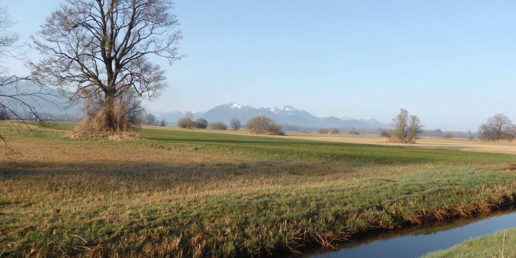 Grabenstätter Moos 20.03.2020, © Tourist-Info Grabenstätt