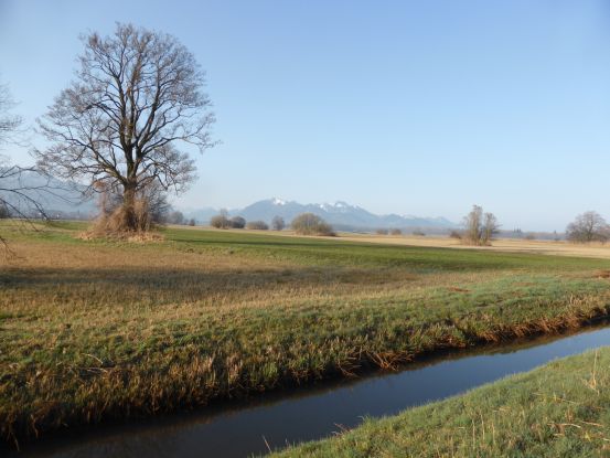 Grabenstätter Moos 20.03.2020, © Tourist-Info Grabenstätt