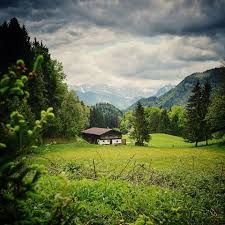 Peterer-Alm, © Tourist-Information