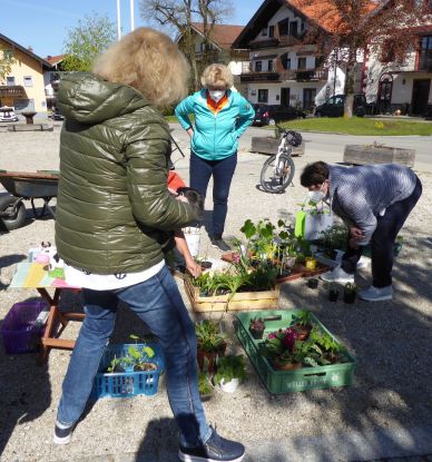 Pflanzentausch Fr&uuml;hjahr 2021 Copyright Gartenbauverein Grbst (1), &copy; GartenbauvereinGrabenst&auml;tt